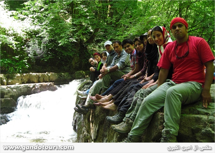 جنگل پیسه سون