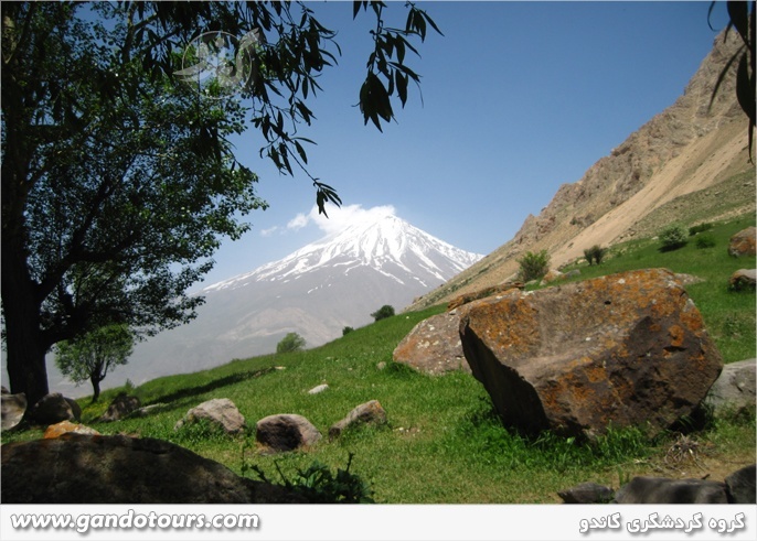 دشت آزو