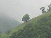 گردنه حیران