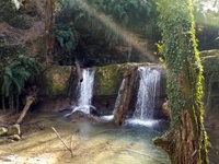 تور یک روزه آبشار