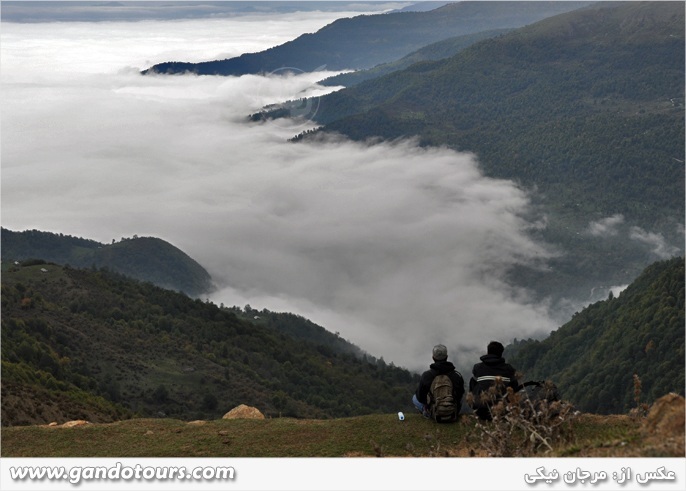تور