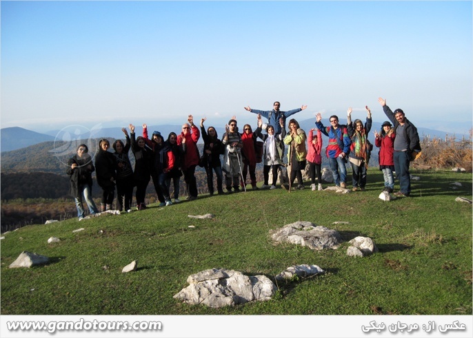 عکس جنگل مرس سی