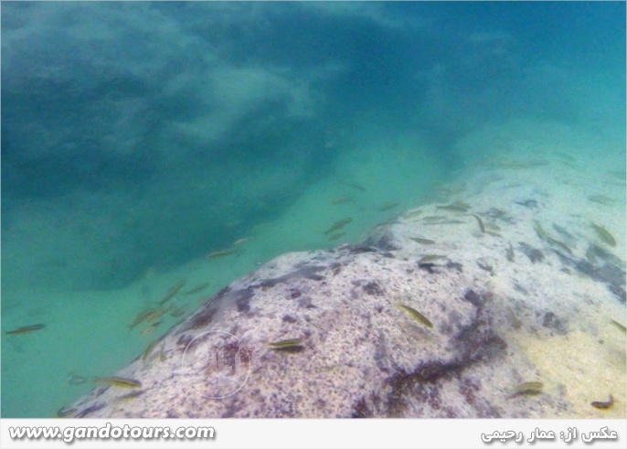 رغز