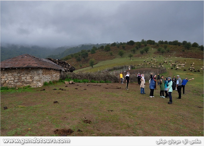 طبیعت فیلبند