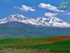 قله سبلان