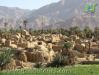تور طبس