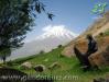 تور دشت آزو